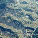 오일농장 이미지