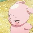 놀자놀자 이미지