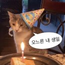 머거소푸드 | [파타야 / 태국] 6박 7일 태국 여행 블로그 Day 2