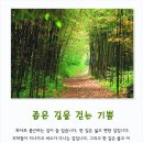 걷는기쁨 이미지