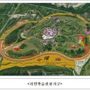 써니드림 Daum카페
