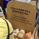 2026 서울국제도서전 필수준비물 직접 다녀와 보고 정리한 체크리스트 및 관람기