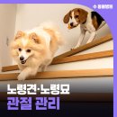 서원동물병원 이미지