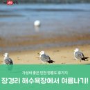 장경리 공원화장실 | 영흥도 장경리해수욕장 이용팁과 물놀이터