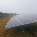 넝쿨 태양광발전소 이미지