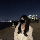 무빙세일! 라코스테 맨투맨 ,아디아스&amp;나이키 바람막이, 한국 옷 모자, 폼클렌징 등등 팔아요! 이미지