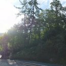 임자공인중개사사무소 이미지