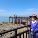 방아머리선착장 이미지