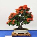 중화고등학교 이미지