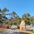 2021년 마지막 가을 주말 영천의 고찰 은해사-백흥암을 걷다