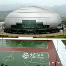 하늘샘체육관 이미지