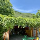 장척계곡가든 이미지