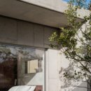 일일시호 이미지