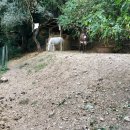 당나귀호스텔 이미지