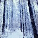 제24차 100명산 영월 백덕산(1350m) 2026.2.22 이미지