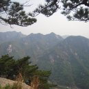 보륭약국 이미지