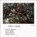 광양 옥룡사지 이미지