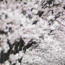 제일원떡방앗간 이미지