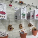 미래로21 | 콩콩팡팡 첫 공식 전시 ‘세계로! 미래로! KKP푸드’ 연남동 스페이스비에서 개최✨