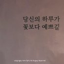 S바디앤스킨 이미지