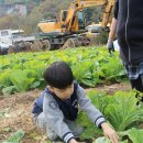 푸른농장2 이미지