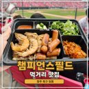 맥시칸치킨 | 광주 챔피언스필드 먹거리 맛집 BEST 5 (feat. 스테이션 크림새우 자문박 김치말이국수)