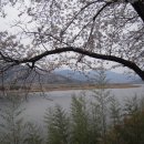 평사리공원 이미지