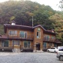 통고산자연휴양림 이미지