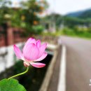 모곡길 이미지