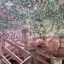 거제새둥지펜션 | 기대 안했는데 너무 좋았던 거제식물원 즐기는 법~!