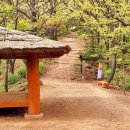 출렁다리 민박 이미지