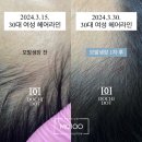 스무살에머물다 석림점