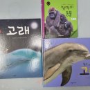 고래등어린이집 이미지