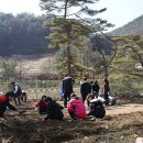 녹전초등학교 이미지