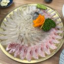 어랑어랑 회 산오징어 | [대구/종로] 오징어회,활어회 맛집 &#34;어랑어랑&#34; 내돈내산