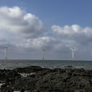 도연이네 민박 이미지