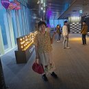 하노이 하롱배이 여행기
