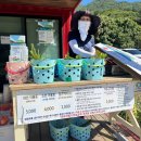 어룡목장 이미지