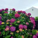 4공단로-39 이미지