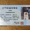 씨제이올리브영대구반월당점 | 대구 동성로 강아지 상주 분위기 좋은 신상 무던 카페
