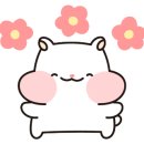 대형각 이미지