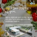 싱싱 하나푸드 이미지