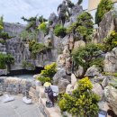 토담레스토랑 이미지