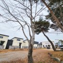 리버스토리 1210 이미지
