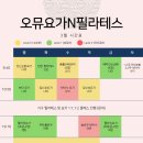 오뮤요가N필라테스