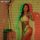 팀비스트