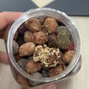 푸꾸옥 4박5일 여행 일정 경비, 킹콩마트 쇼핑리스트 기념품 가격 추천템
