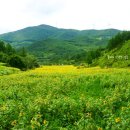 바람의언덕초가집 네이버블로그