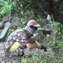 낭만제주펜션 이미지
