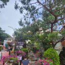 김삿갓식당 | 김삿갓밥집 한정식 식당 한국초콜릿연구소근처 내돈내산